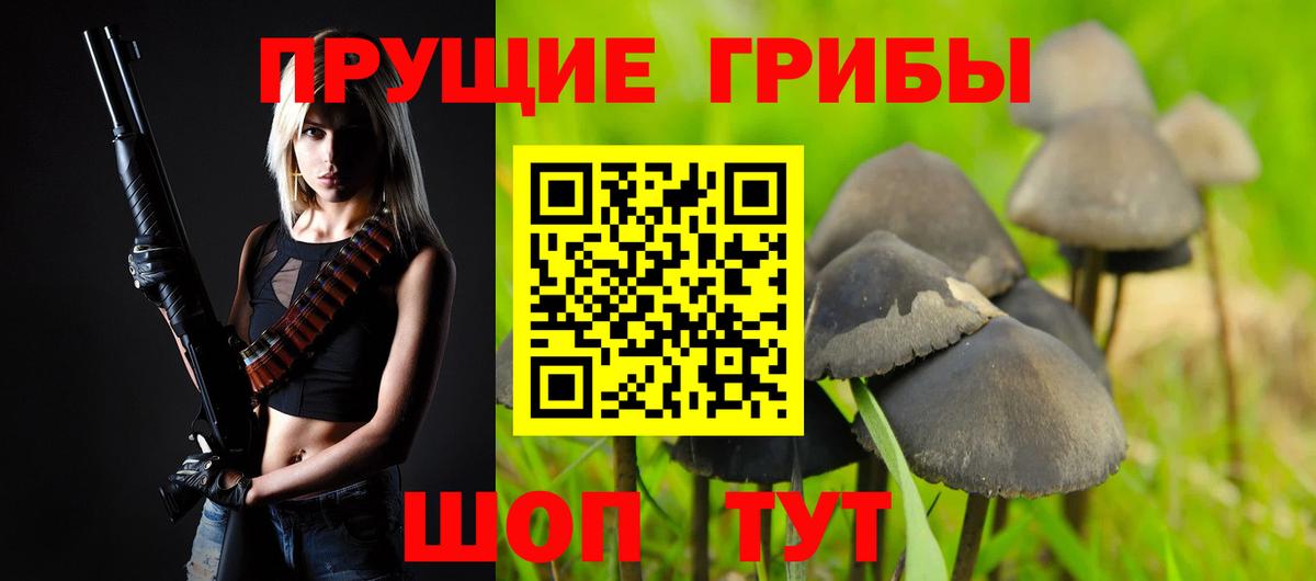 Россия  Галлюциногенные грибы Psilocybe  Вход с VPN 